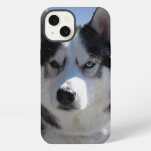 Husky iPhone Case Custom Husky Malamute Cases
