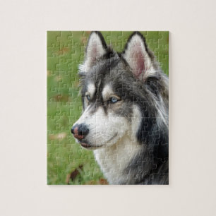 Husky Jigsaw Puzzle