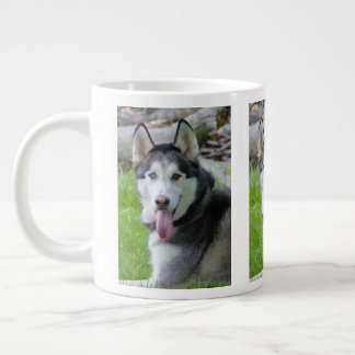 Husky Mug