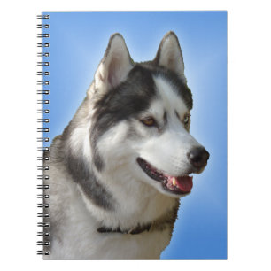 Husky Notebook Siberian Husky Gifts & Books