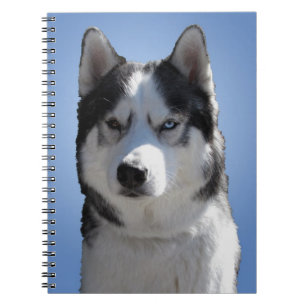 Husky Notebook Siberian Husky Journal Sleddog Book