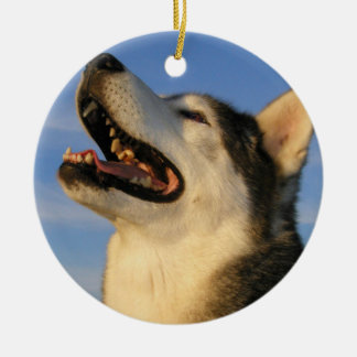 Husky Ornament