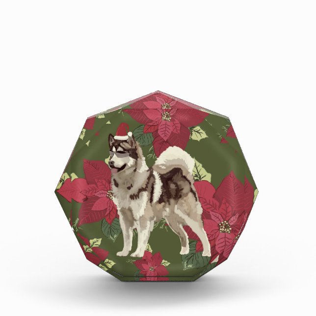 Husky, Poinsettia Flowers Photo Block (Front)