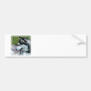 Husky Profile  Bumper Sticker