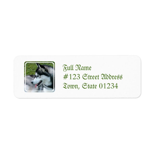 Husky Profile  Mailing Label Return Address Label (Front)