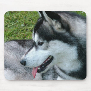 Husky Profile  Mouse Pad