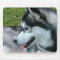 Husky Profile  Mouse Pad