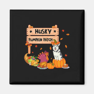 Husky Pumpkin Patch Thanksgiving Dog In Pumpkin Fa Magnet