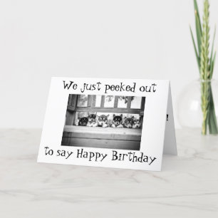 HUSKY PUPPIES SAY as a "GROUP" **HAPPY BIRTHDAY!** Holiday Card