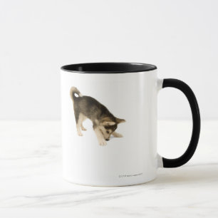 Husky Puppy 2 Mug