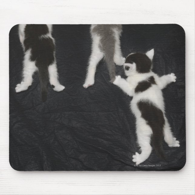 Husky Puppy Mouse Pad (Front)