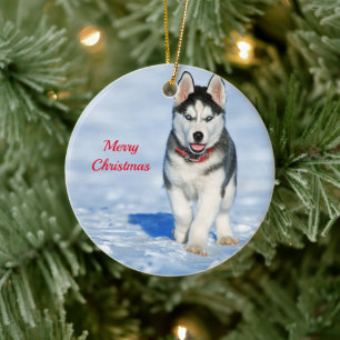 Husky Puppy Ornament
