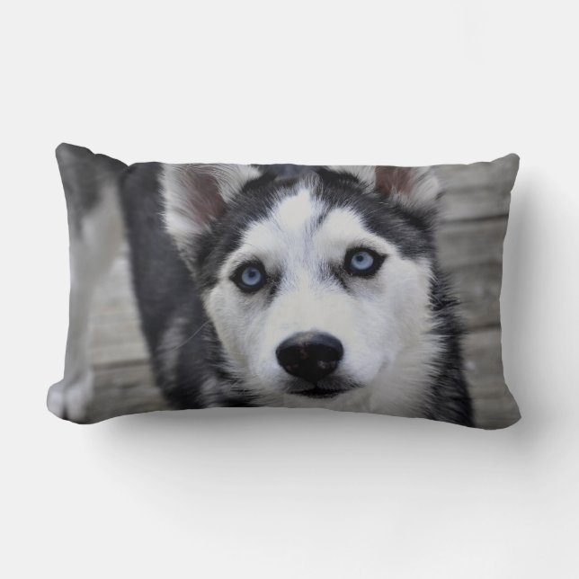 Husky Puppy Pillow (Front)