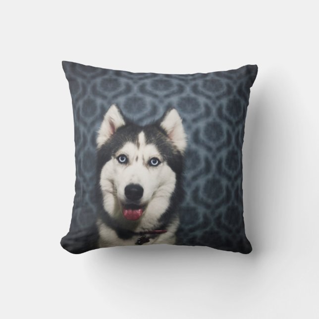 Husky Puppy Posing with a Dark Bakground Cushion (Front)