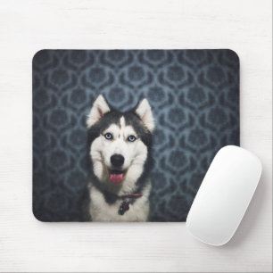 Husky Puppy Posing with a Dark Bakground Mouse Pad