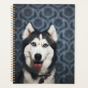 Husky Puppy Posing with a Dark Bakground Planner