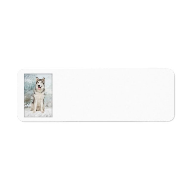 Husky Return Address Labels (Front)