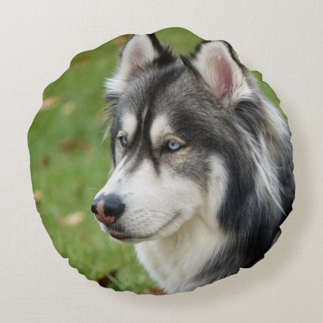 Husky Round Cushion (Back)