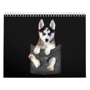 Husky   Siberian Husky In Pocket Puppy Calendar