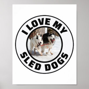 Husky Sledding Sled Dog Racing Alaskan Racers Poster