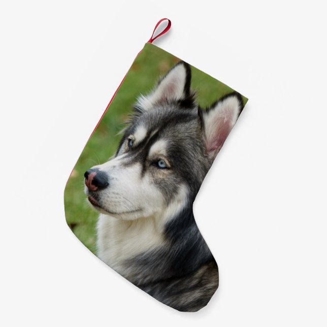 Husky Small Christmas Stocking (Front (Hanging))