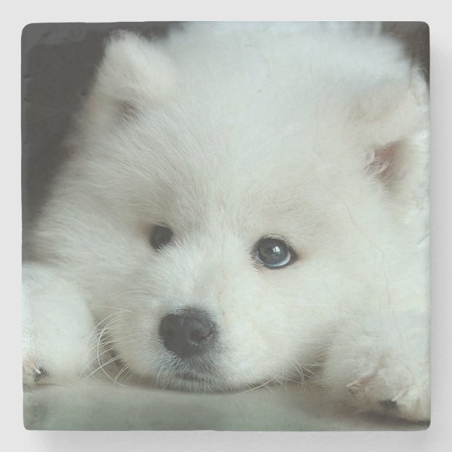 Husky Stone Coaster (Front)
