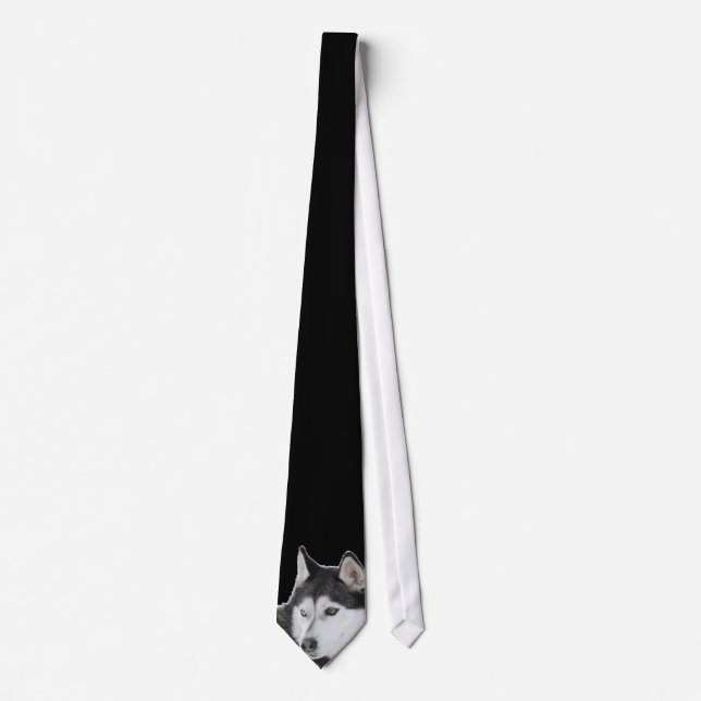 Husky Tie (Front)