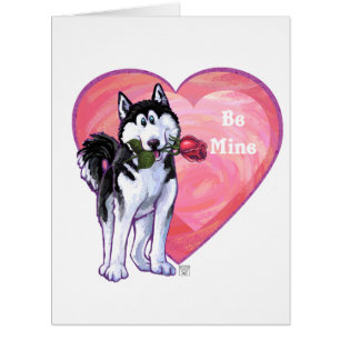 Husky Valentine's Day