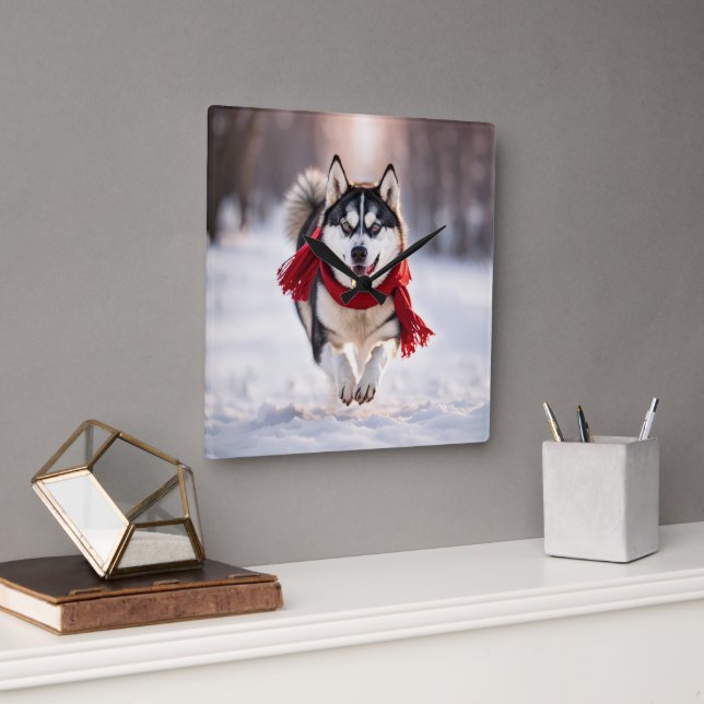 Husky Wearing A Red Winter Scarf Square Wall Clock (Office)