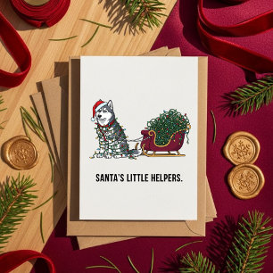 Husky Winter Sleigh Team Cute Christmas Dog  Holiday Card