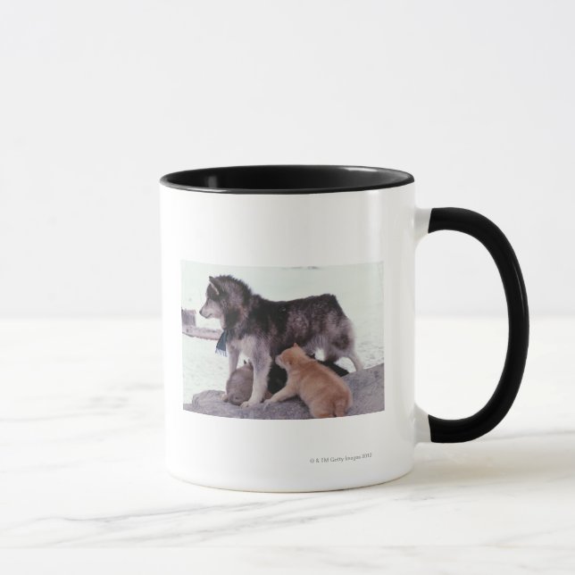 Husky with litter of pups mug (Right)
