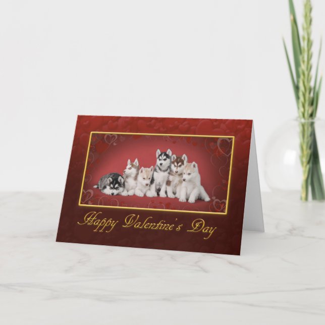 Huskys Valentine's day Holiday Card (Front)