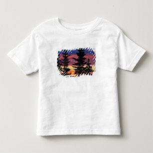 HUSTON PARK WILDERNESS, WYOMING. USA. Spruce Toddler T-Shirt