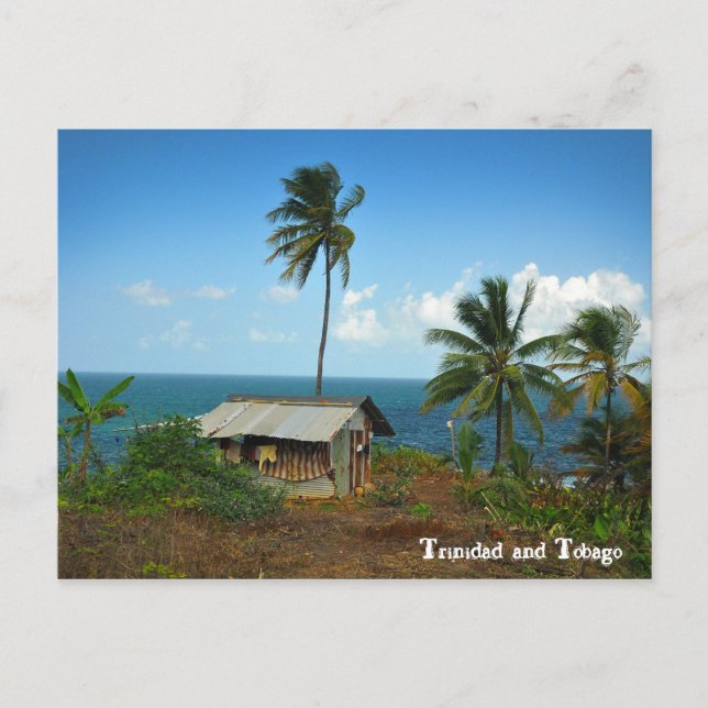 Hut On Trinidad's North Coast Postcard (Front)