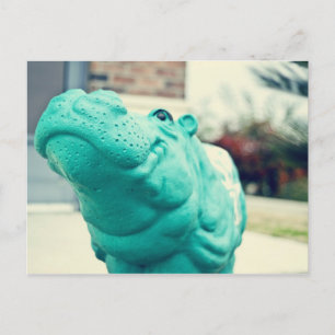 Hutto Hippo ! Postcard