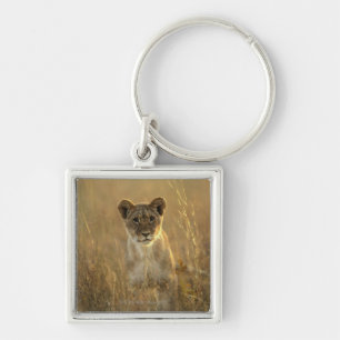 Hwange National Park, Zimbabwe. Key Ring