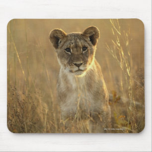 Hwange National Park, Zimbabwe. Mouse Pad