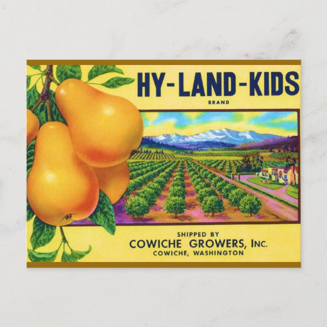 Hy-Land-Kids Pears Postcard (Front)