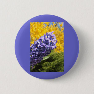 Hyacinth and Forsythia 6 Cm Round Badge
