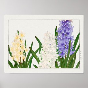 Hyacinth by Tanigami Konan Poster