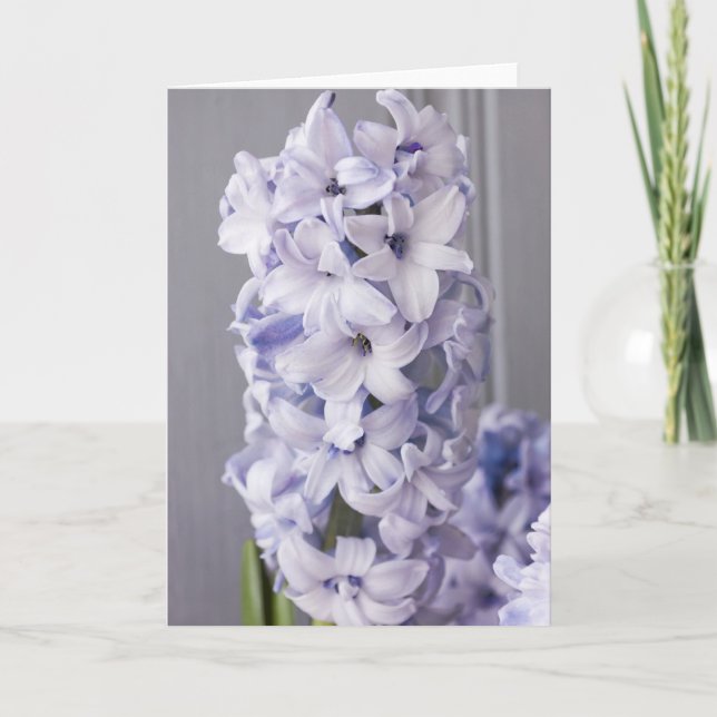 Hyacinth Card (Front)