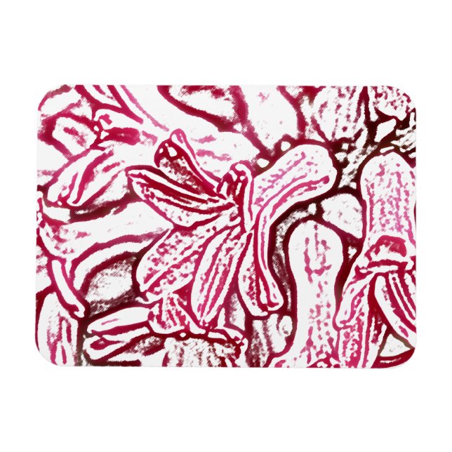 Hyacinth Edited Magnet (Horizontal)