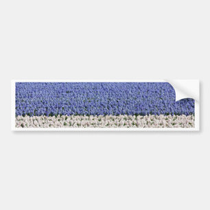 Hyacinth Field Bumper Sticker
