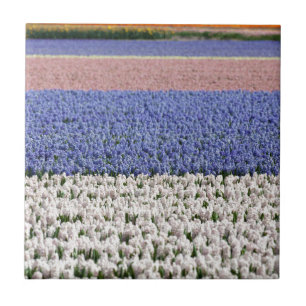 Hyacinth Field Ceramic Tile