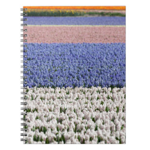 Hyacinth Field Notebook
