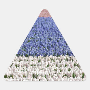 Hyacinth Field Triangle Sticker