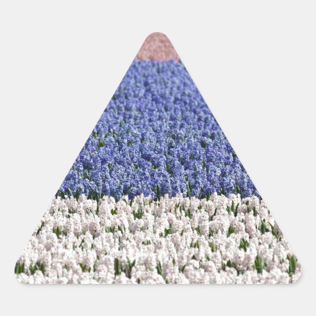 Hyacinth Field Triangle Sticker (Front)
