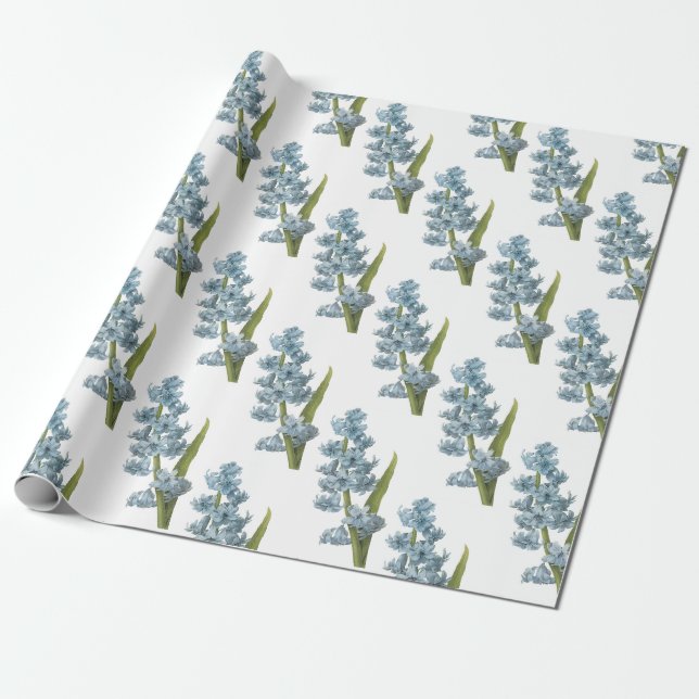 Hyacinth Flower Pattern Wrapping Paper (Unrolled)