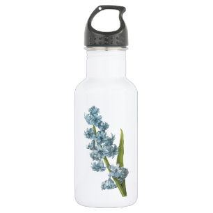 hyacinth(Hyacinthus sp.) by Redouté 532 Ml Water Bottle