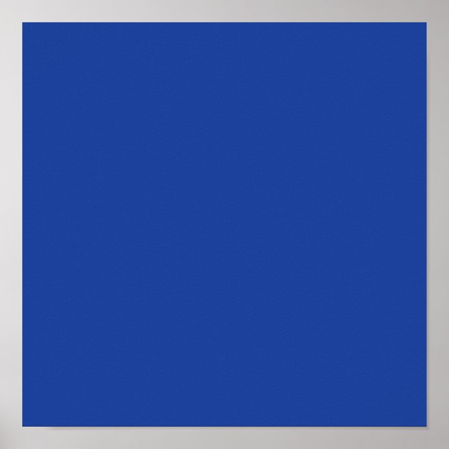 Hyacinth Macaw Blue Poster (Front)